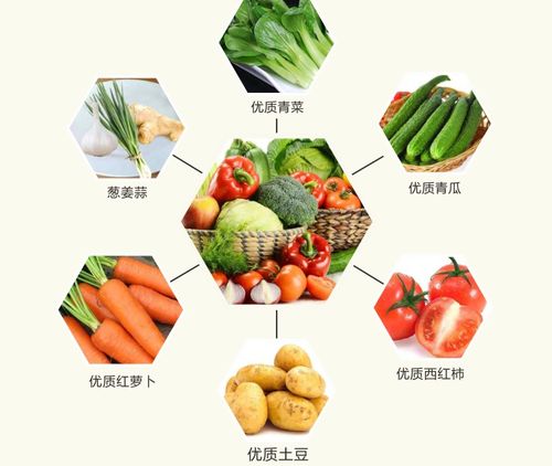 老西關食材產品系列 一站式采購，重溫地道廣府味